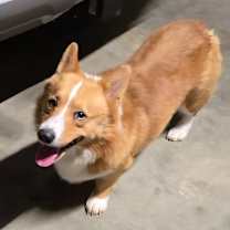 Thumbnail photo of George  #3