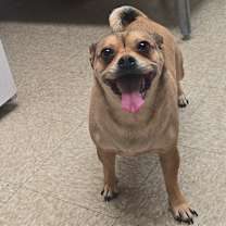 Thumbnail photo of CeCe #1