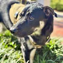 Thumbnail photo of Dina #4