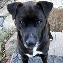 Thumbnail photo of Floyd #4