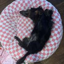 Thumbnail photo of Babs Kay #4