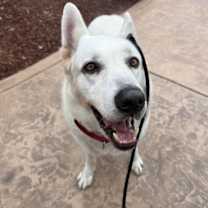 Thumbnail photo of Ky #1