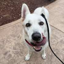 Thumbnail photo of Ky #2