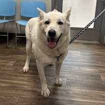 Thumbnail photo of Ky #3