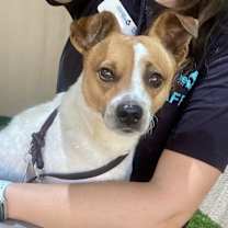 Thumbnail photo of Dublin #1