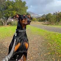 Thumbnail photo of Aria #1