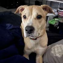 Thumbnail photo of Mako #1