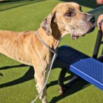 Thumbnail photo of Charlie #3