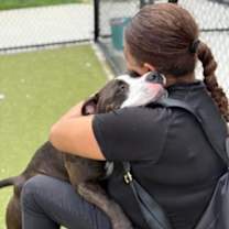 Thumbnail photo of MidKnight #4