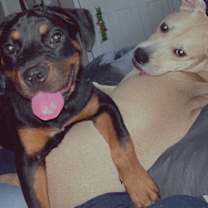 Thumbnail photo of Hazel #4