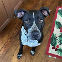 Thumbnail photo of Diane Chambers #1