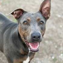 Thumbnail photo of Moana #1