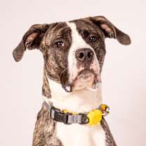 Thumbnail photo of Bambino #1