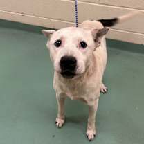 Thumbnail photo of Supreme #3