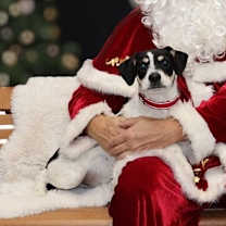 Thumbnail photo of Gomez #1