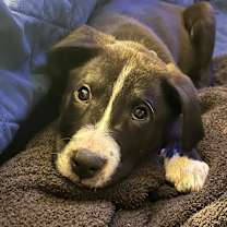 Thumbnail photo of Joshua Kade  #1