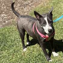 Thumbnail photo of Girl #1