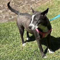 Thumbnail photo of Girl #2