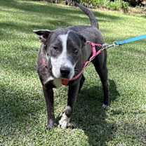 Thumbnail photo of Girl #3