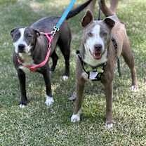 Thumbnail photo of Girl #4