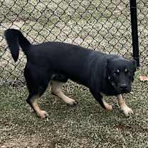 Thumbnail photo of Oscar #1