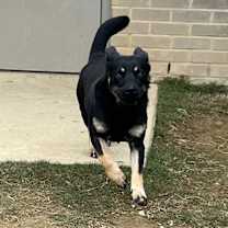 Thumbnail photo of Oscar #2