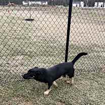 Thumbnail photo of Oscar #3