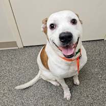 Thumbnail photo of Marlie #2