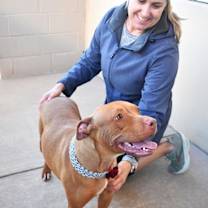 Thumbnail photo of Indica #3