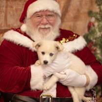 Thumbnail photo of Icelyn #2