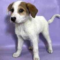 Thumbnail photo of Swirl #3