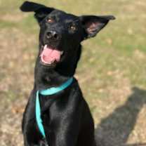 Thumbnail photo of Yippy #2