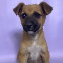 Thumbnail photo of Donnie #2