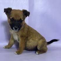 Thumbnail photo of Debbie #1