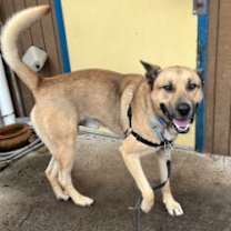 Thumbnail photo of Mateo *Sponsored* #2