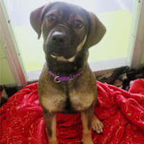 Thumbnail photo of Cindy Lou Who #1