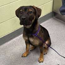 Thumbnail photo of Cindy Lou Who #2