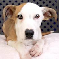 Thumbnail photo of Laken #1