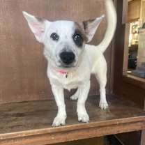 Thumbnail photo of Slate #1