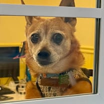 Thumbnail photo of Ramen 13612 #2