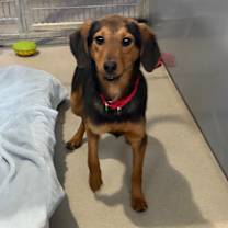 Thumbnail photo of Almond #2