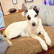 Thumbnail photo of Skyler #3