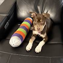 Thumbnail photo of Chloe #4