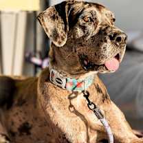 Thumbnail photo of Jayne #1