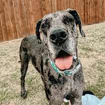 Thumbnail photo of Jayne #2