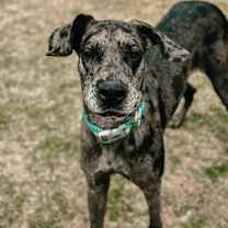 Thumbnail photo of Jayne #3