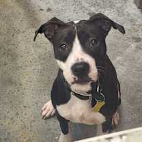 Thumbnail photo of Jeffery #1