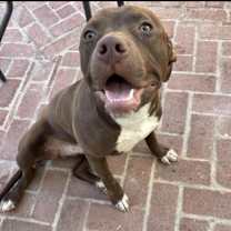 Thumbnail photo of Elliot #1