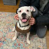 Thumbnail photo of Griswold #1