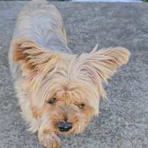 Thumbnail photo of Tanner #1